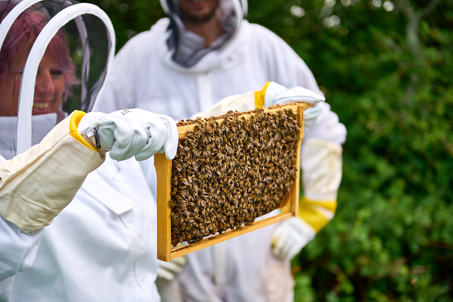 Apiary-Bee Experience-42