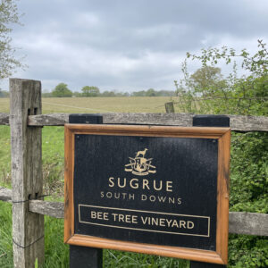 Bee Tree Vineyard Bee Tree Vineyard