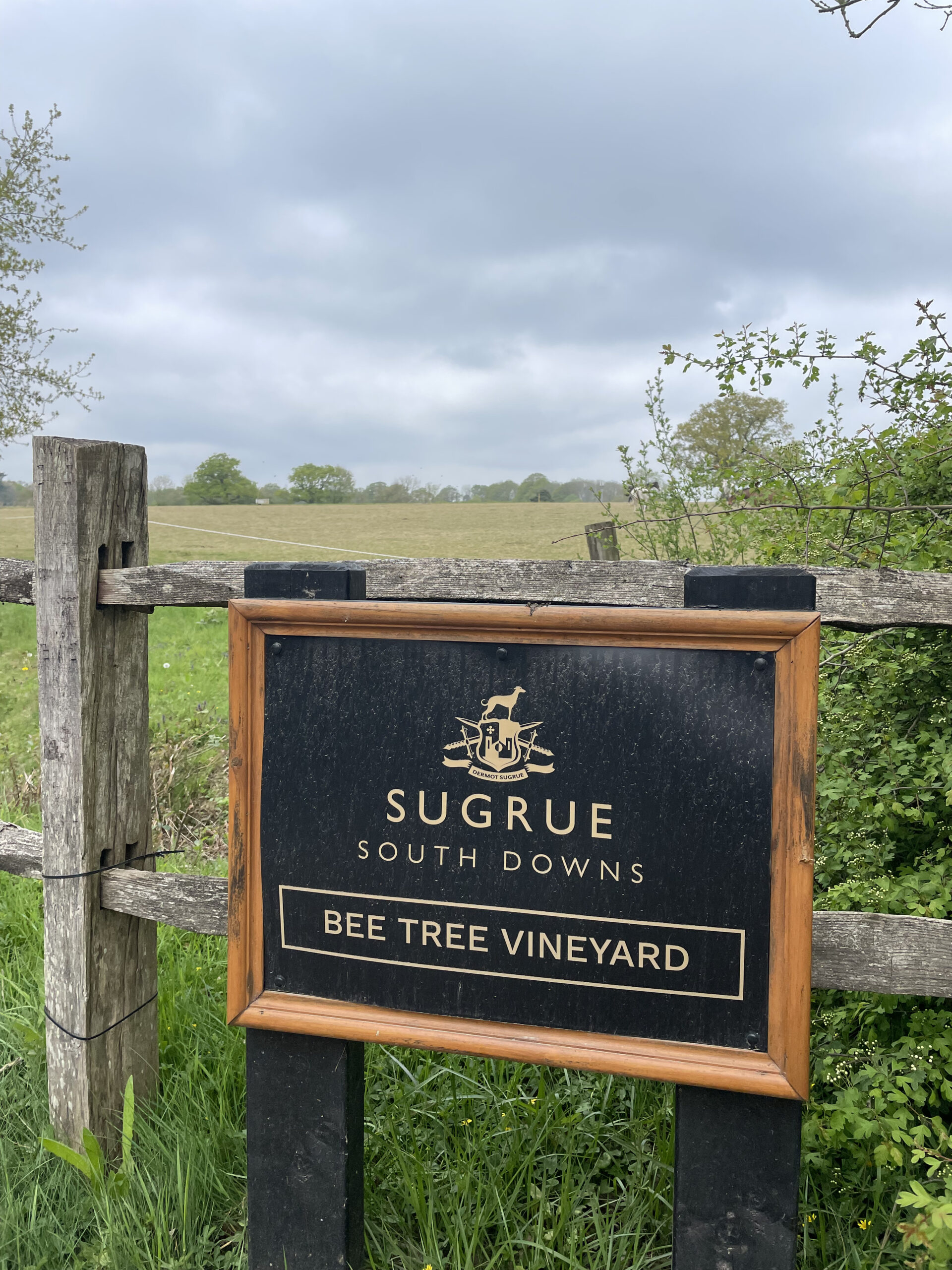 Bee Tree Vineyard Bee Tree Vineyard